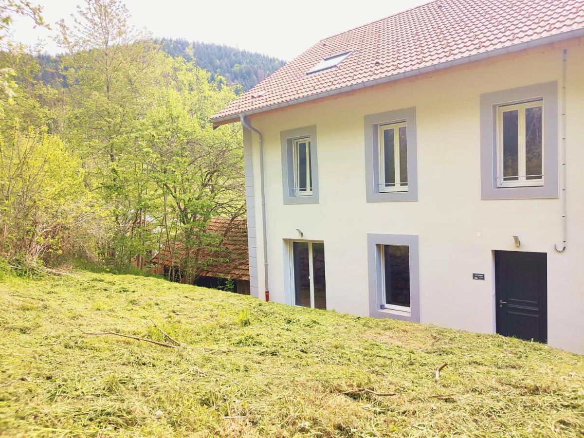 ⁂⁂ Le Chamois Appartement Cledicihome / Magnifique Vue Sur Les Montagnes / 4 Kms De Gerardmer ! ⁂⁂ Rochesson エクステリア 写真